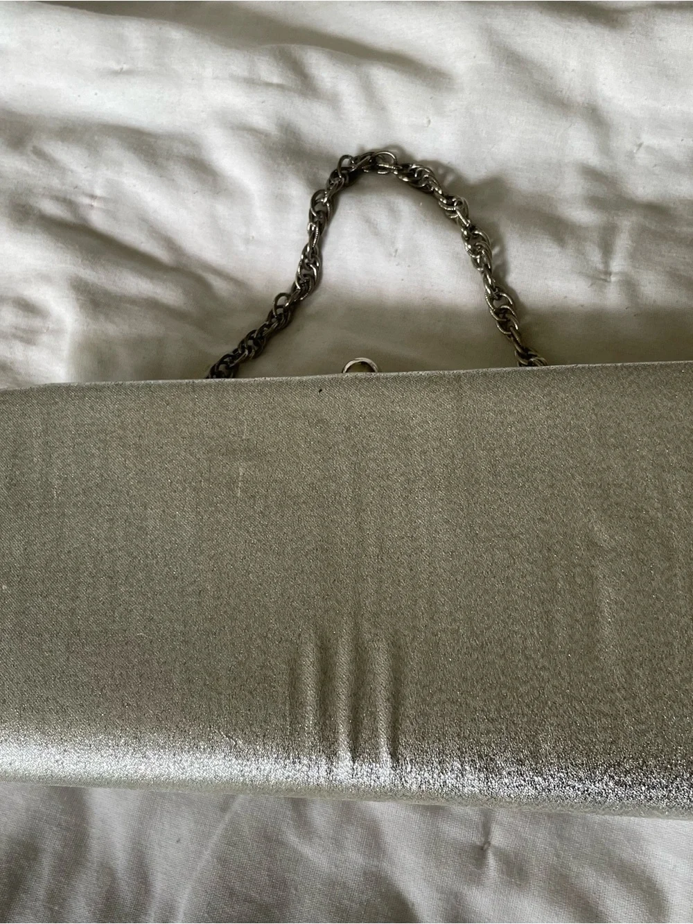 Hand-Painted Vintage Silver Peacock Feather Chain-Handle Clutch